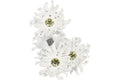Givenchy Daisy Pendant Ear Crawler White